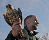 �-�-���--������-��������052