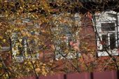 IMG 0395    -