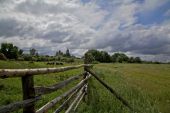 IMG 8025    -