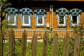 IMG 0258      -