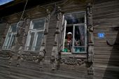 IMG 7950    