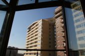 IMG 5256
