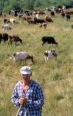 RURAL11