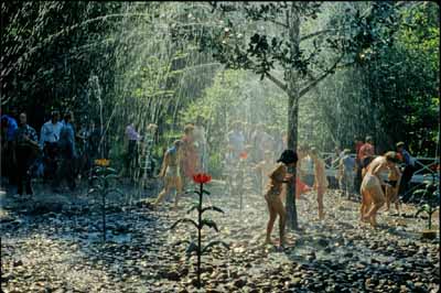 LIN ����������� 12� ������ 