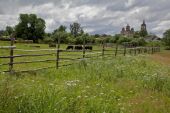 IMG 8024    -