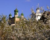 ����������-���������--3779