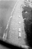 ���� 1966�