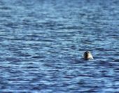 ������ JPG JPG