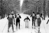   1968