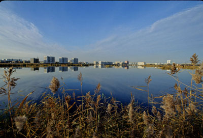 �� ������ ����� 24 JPG JPG