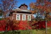 IMG 0457    -