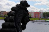 IMG 8009        