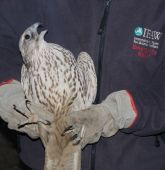 ������-��������  22-23-1014