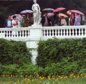 � ������������� 80�