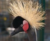 �-�-���--�����������-16-038